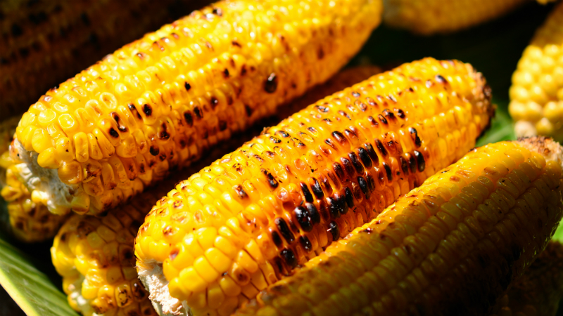 milho assado milho assado