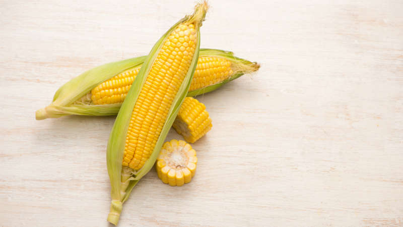 espiga de milho espiga de milho