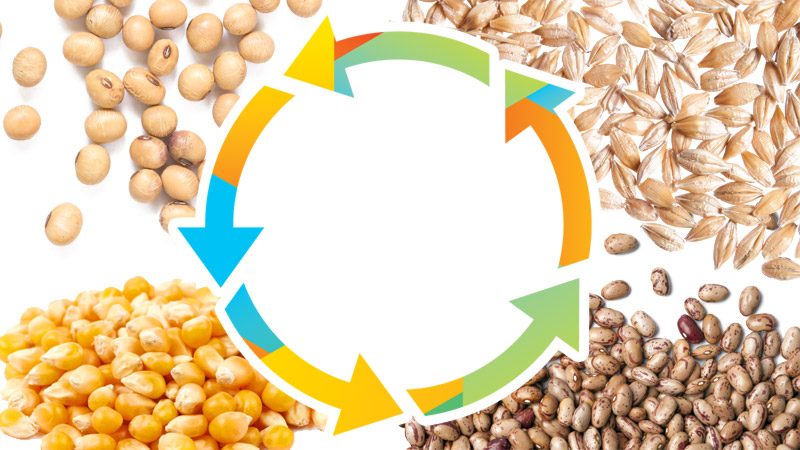 Rotação de culturas