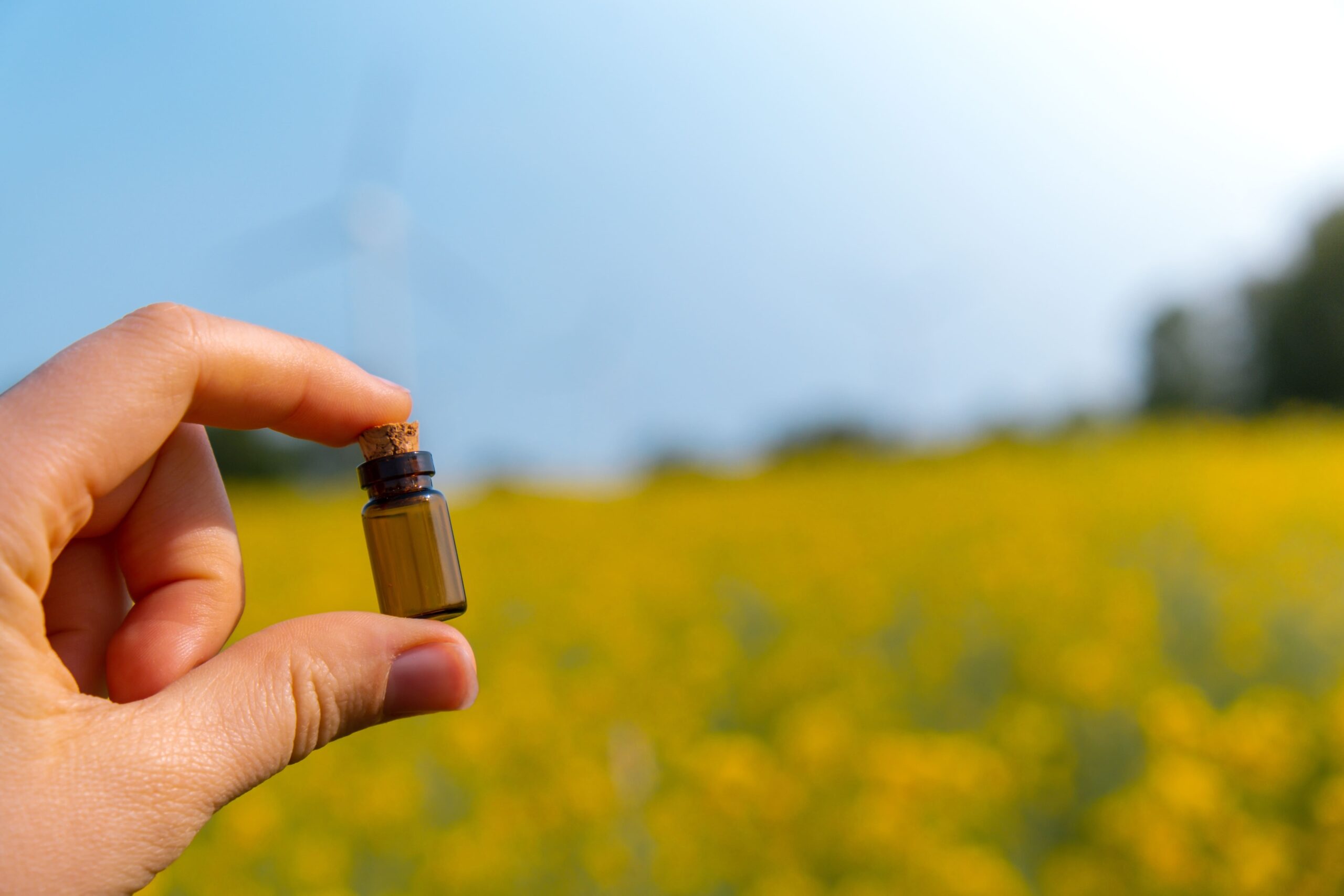  Benefício do uso de agroquímicos 