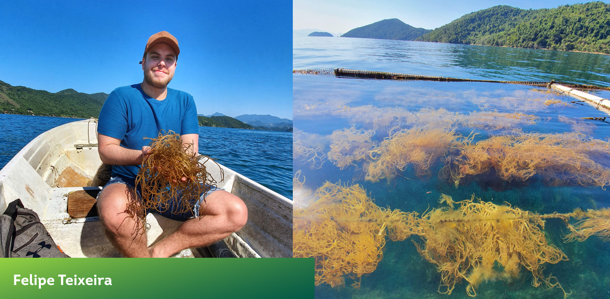 extração de produtos naturais marinhos extração de produtos naturais marinhos
