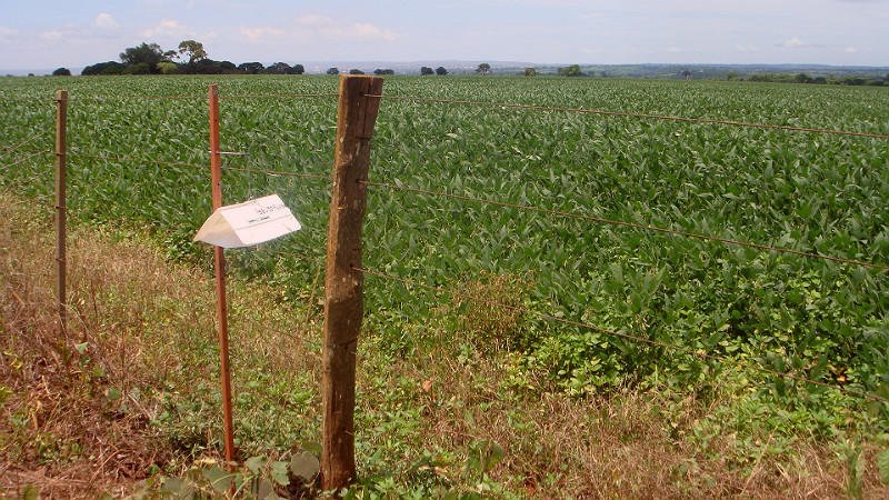 monitoramento de mariposas por armadilhas