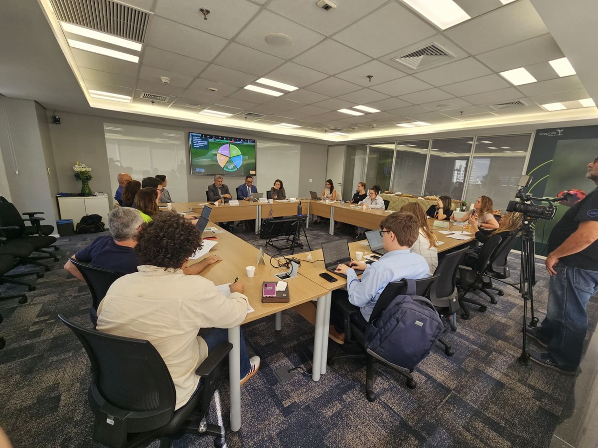 Pirataria de sementes de soja causa perdas de R$ 10 bi ao ano