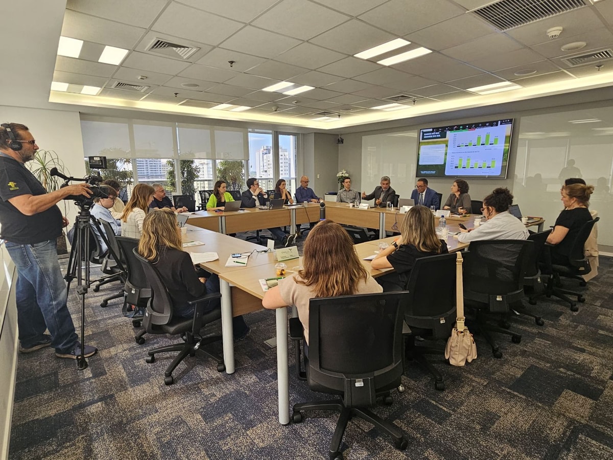 Pirataria de sementes de soja causa perdas de R$ 10 bi ao ano