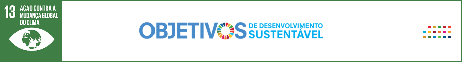 Banner ODS 13 Ação contra a mudança global do clima