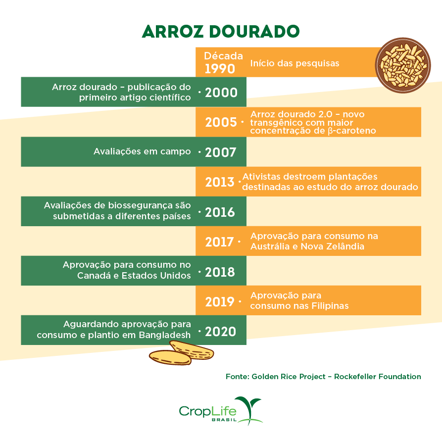Linha do tempo do Arroz Dourado Linha do tempo do Arroz Dourado
