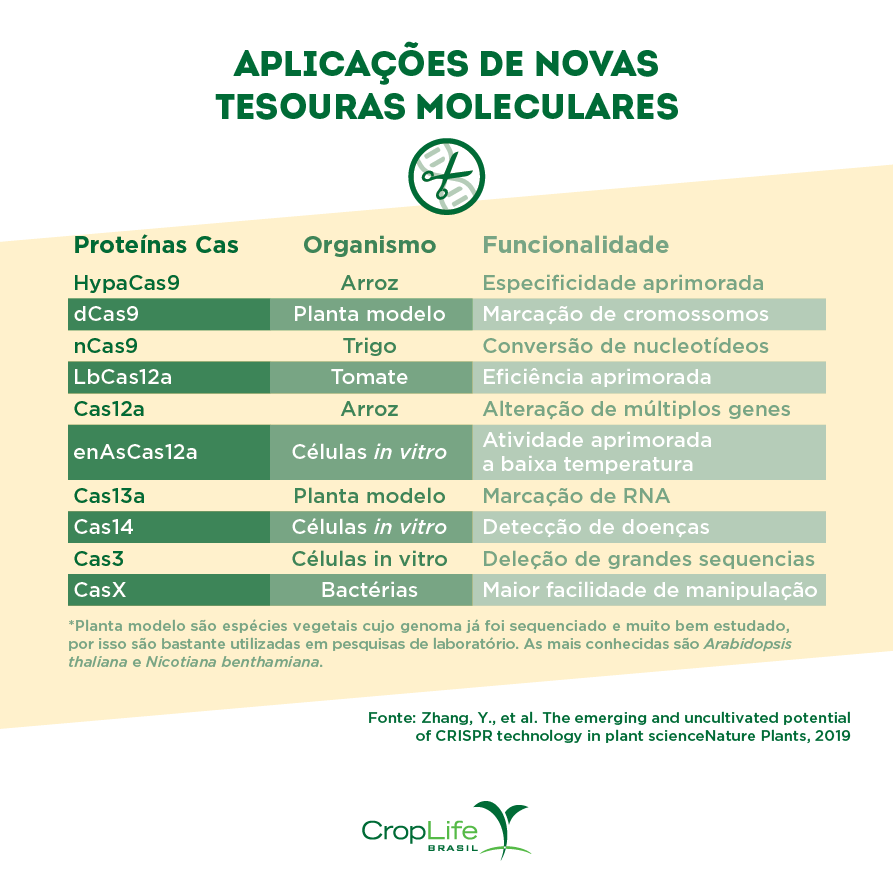 Aplicações de novas tesouras moleculares Gráfico aplicações de novas tesouras moleculares
