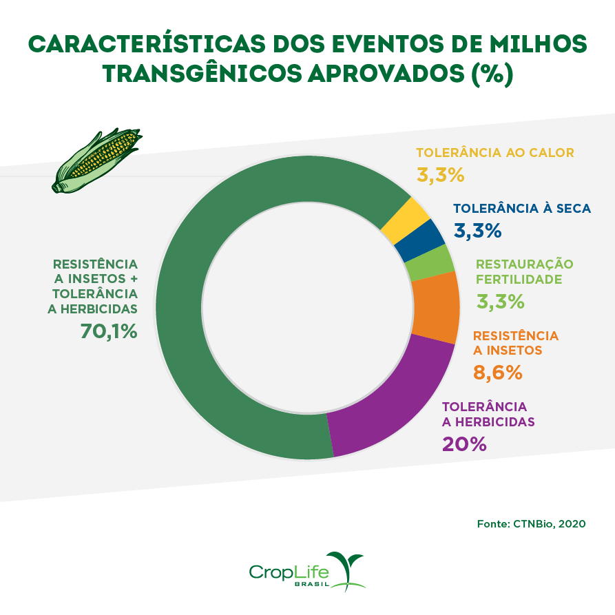 Características dos eventos de milhos transgênicos aprovados