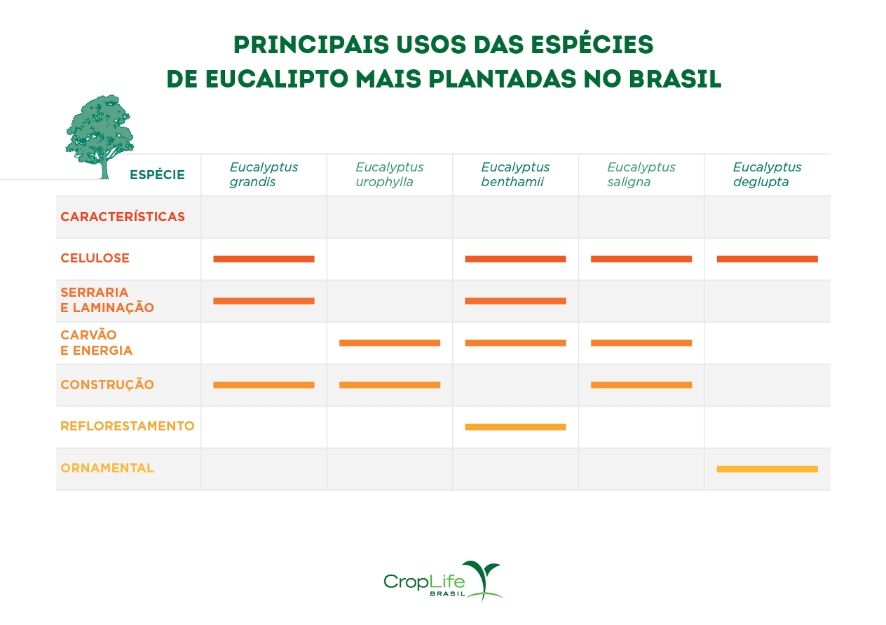 Principais usos das espécies de eucalipto mais plantadas no Brasil