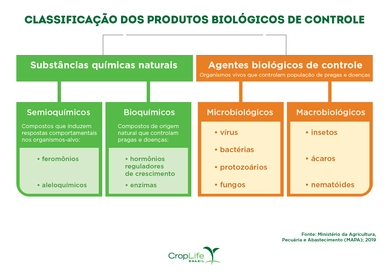 Classificação dos produtos biológicos de controle Infográfico mostrando a diferenciação entre a classificação dos produtos biológicos de controle