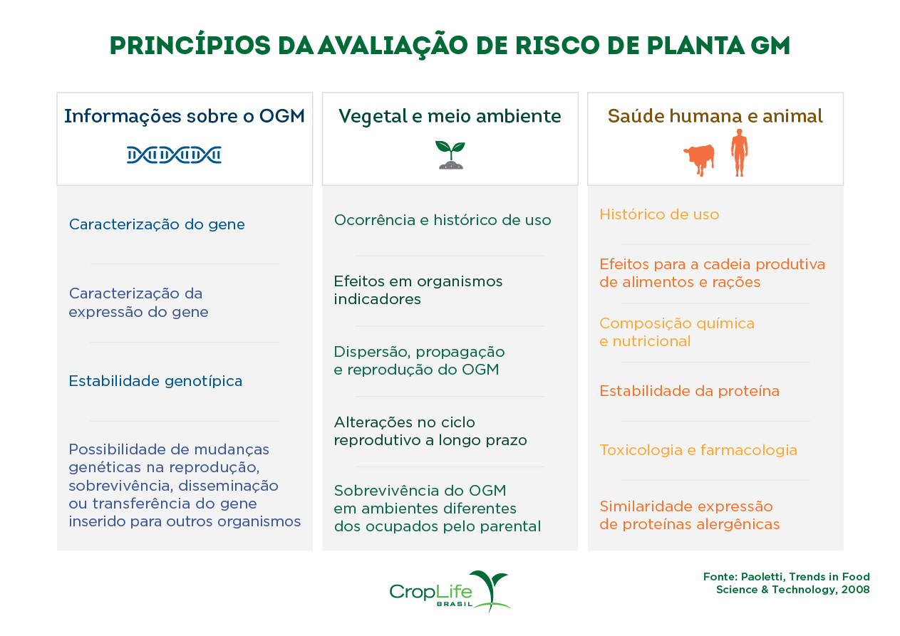 princípios da avaliação de risco de planta gm princípios da avaliação de risco de planta gm