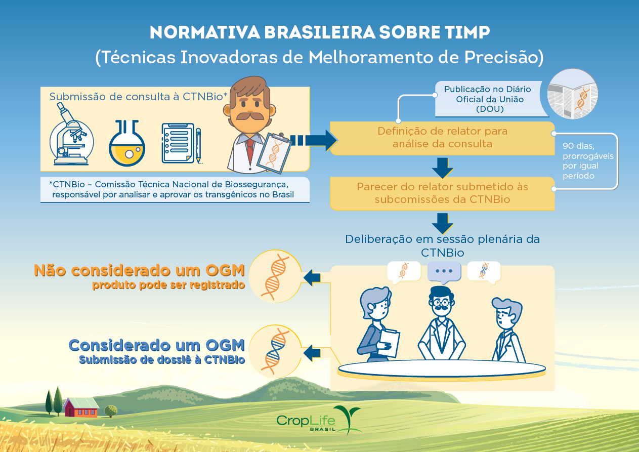 normativa brasileira sobre timp normativa brasileira sobre timp