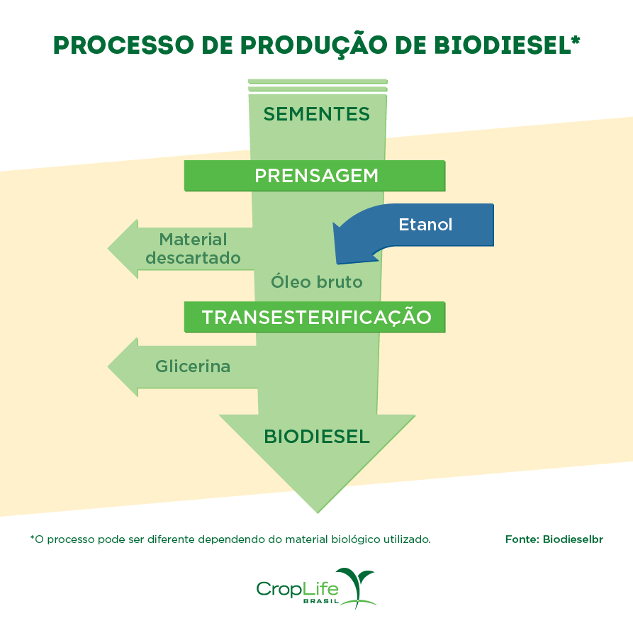 Processo de Produção de Biodiesel Gráfico Processo de Produção de Biodiesel para Bioenergia