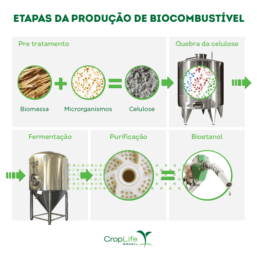 Gráfico Etapas da Produção de Biocombustível