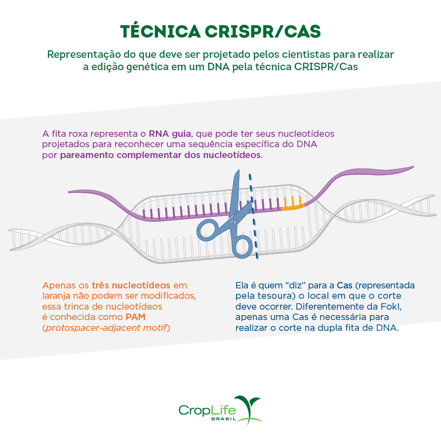 edição gênica: técnica CRISPR/CAS edição gênica: técnica CRISPR/CAS