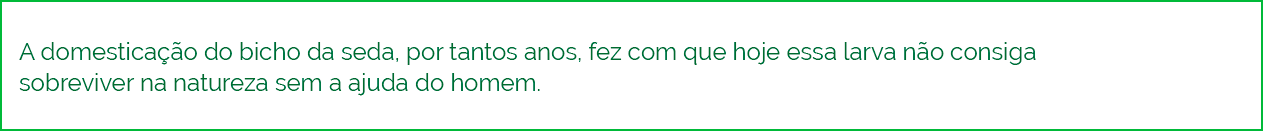 domesticação do bicho de seda para fibra natural