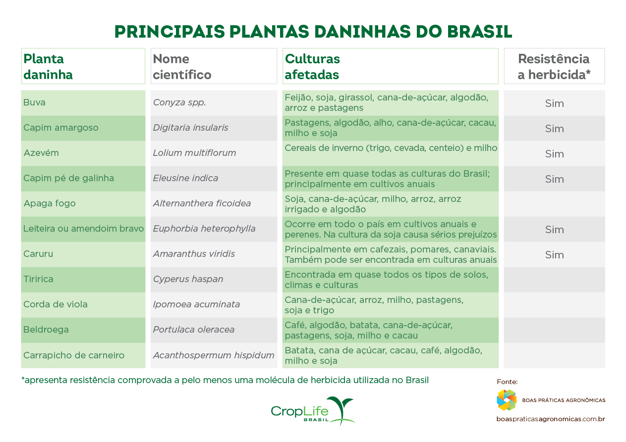 Infográfico mostrando quais são as principais plantas daninhas do Brasil e se são resistentes a herbicidas