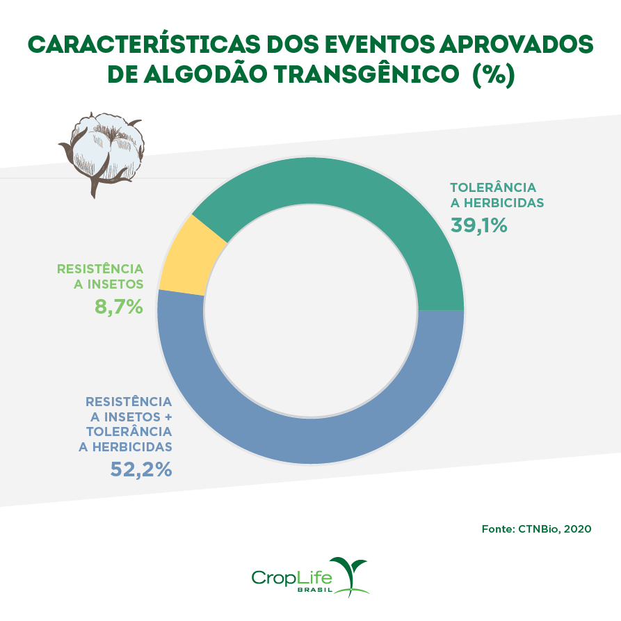 Características dos eventos aprovados de algodão transgênico Gráfico das características dos eventos aprovados de algodão transgênico