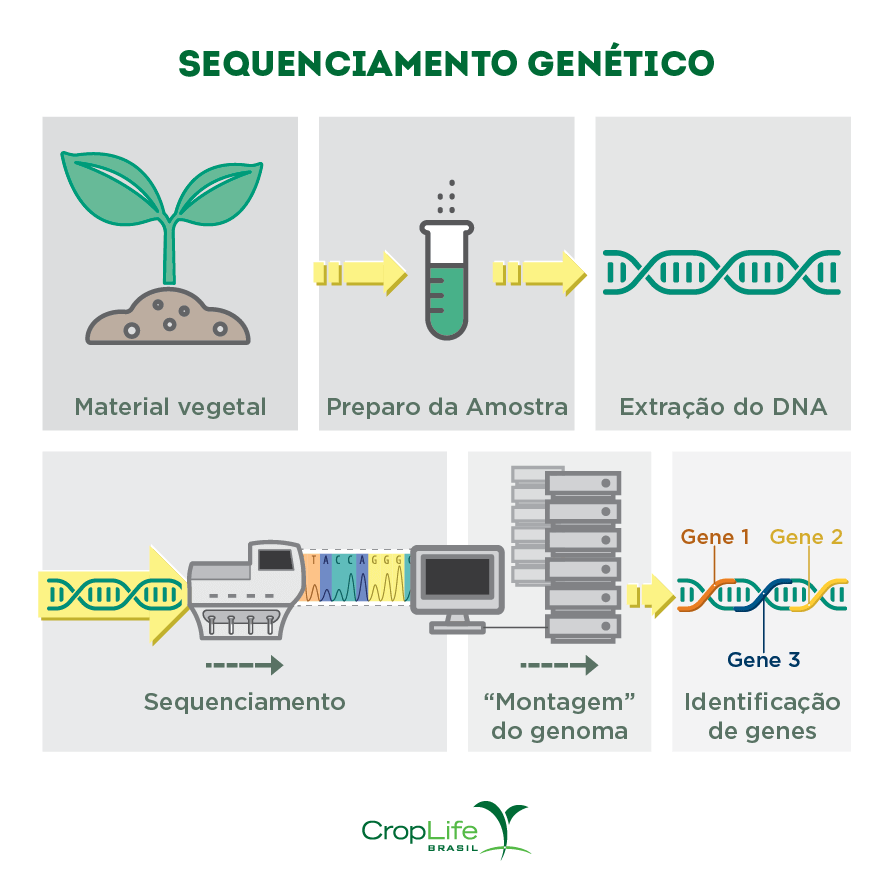 Sequenciamento genético
