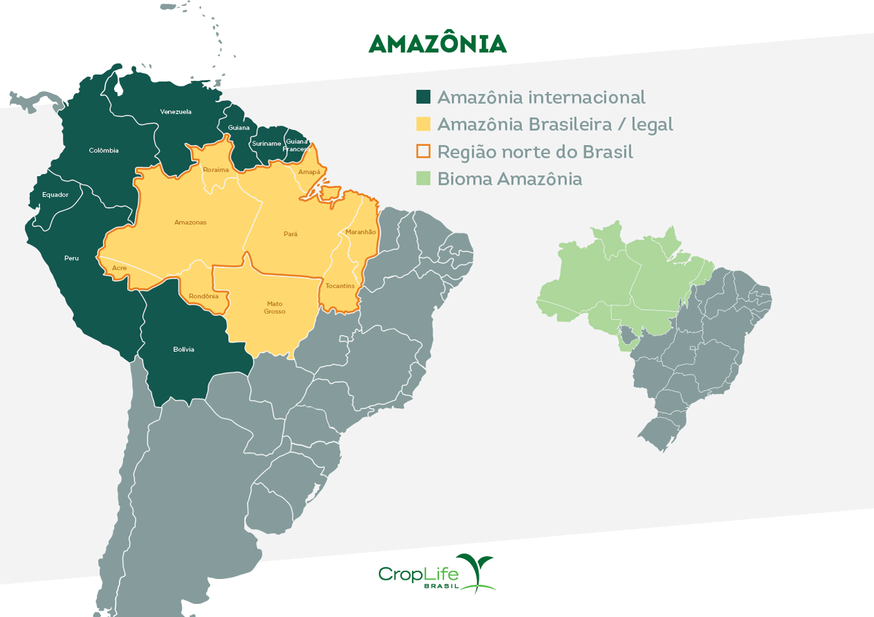 Agricultura na Amazônia: Infográfico mostrando a área geográfica da floresta amazônica