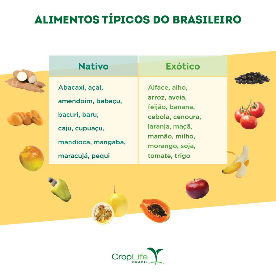 alimentos típicos do Brasil