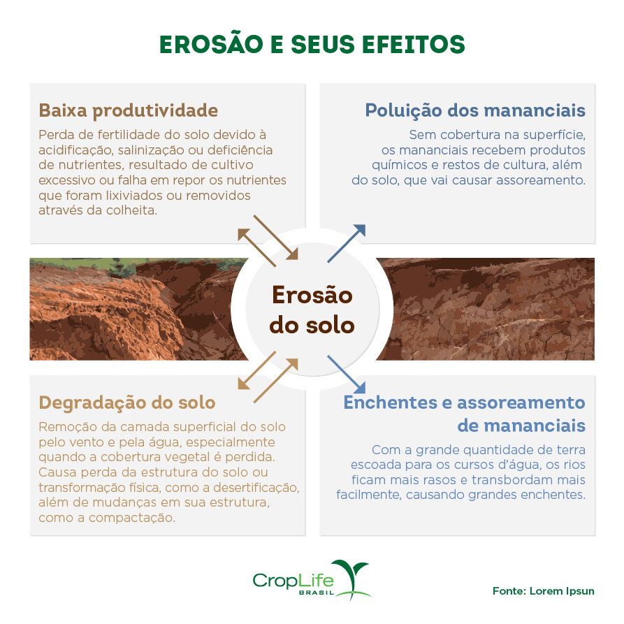 Erosão e seus efeitos