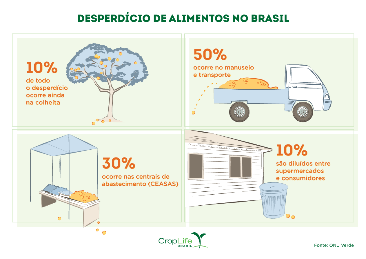 Infográfico mostrando os focos de desperdício de alimentos no Brasil, enfatizando o transporte, manuseio e centrais de abastecimento como principais foco de desperdício