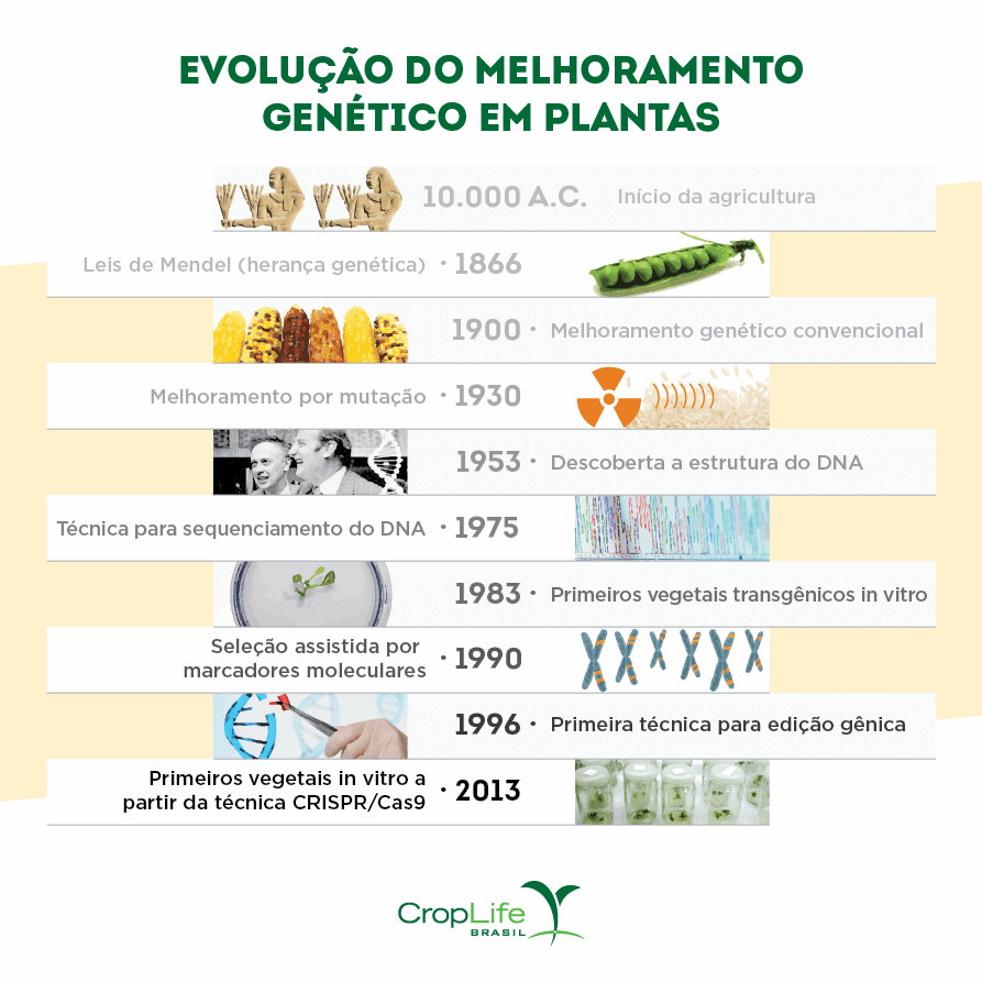 evolução do melhoramento genético de plantas