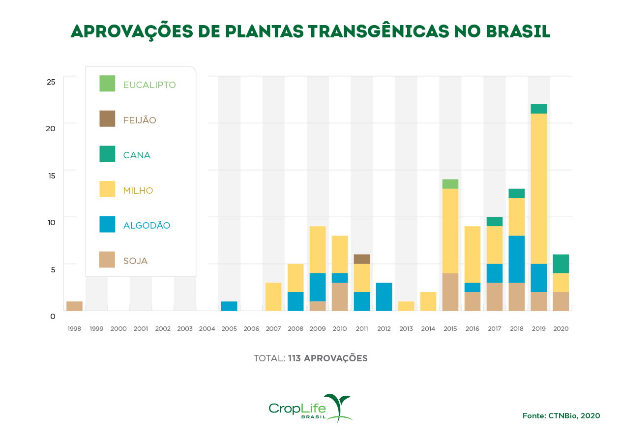 Plantas transgênicas no Brasil Plantas transgênicas no Brasil