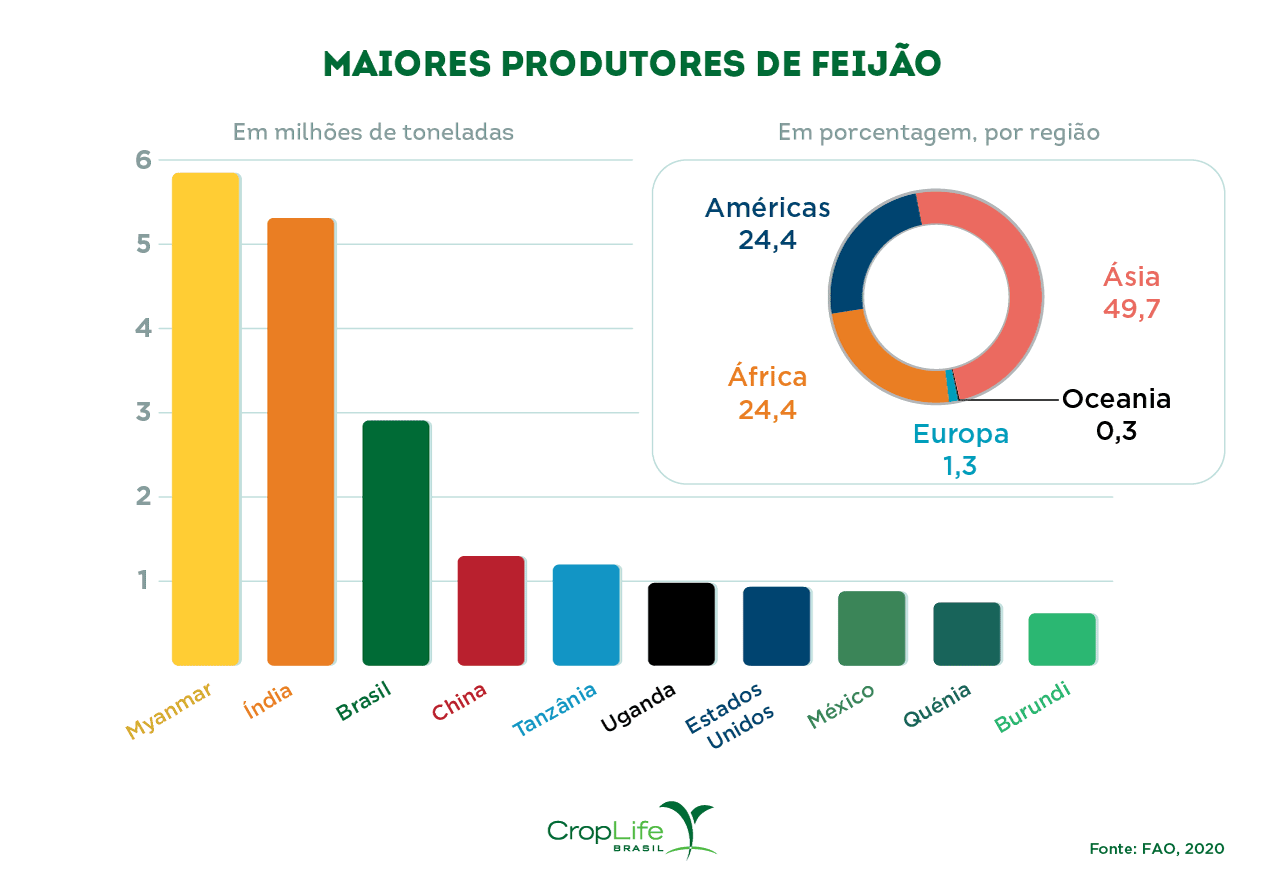 Maiores produtores de feijão Gráfico maiores produtores de feijão