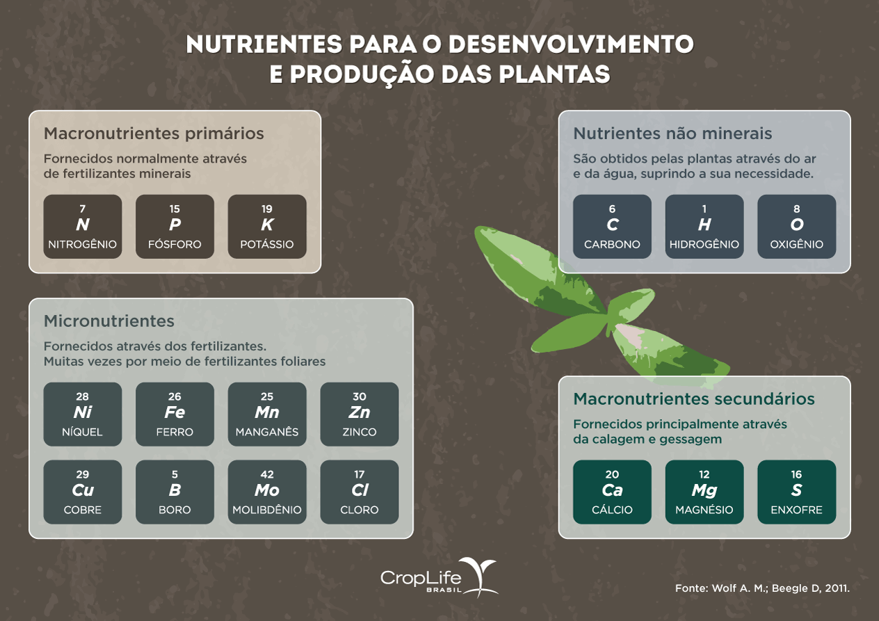 Infográfico mostrando os nutrientes necessário para o desenvolvimento e produção das plantas