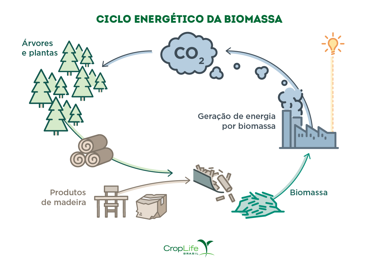 Ciclo Energético da Biomassa Gráfico Ciclo Energético da Biomassa
