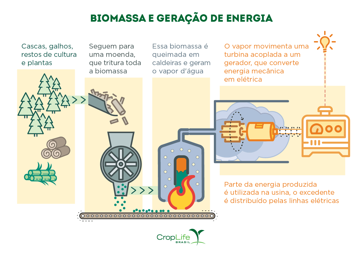 Biomassa e geração de energia Gráfico Biomassa e Geração de Energia
