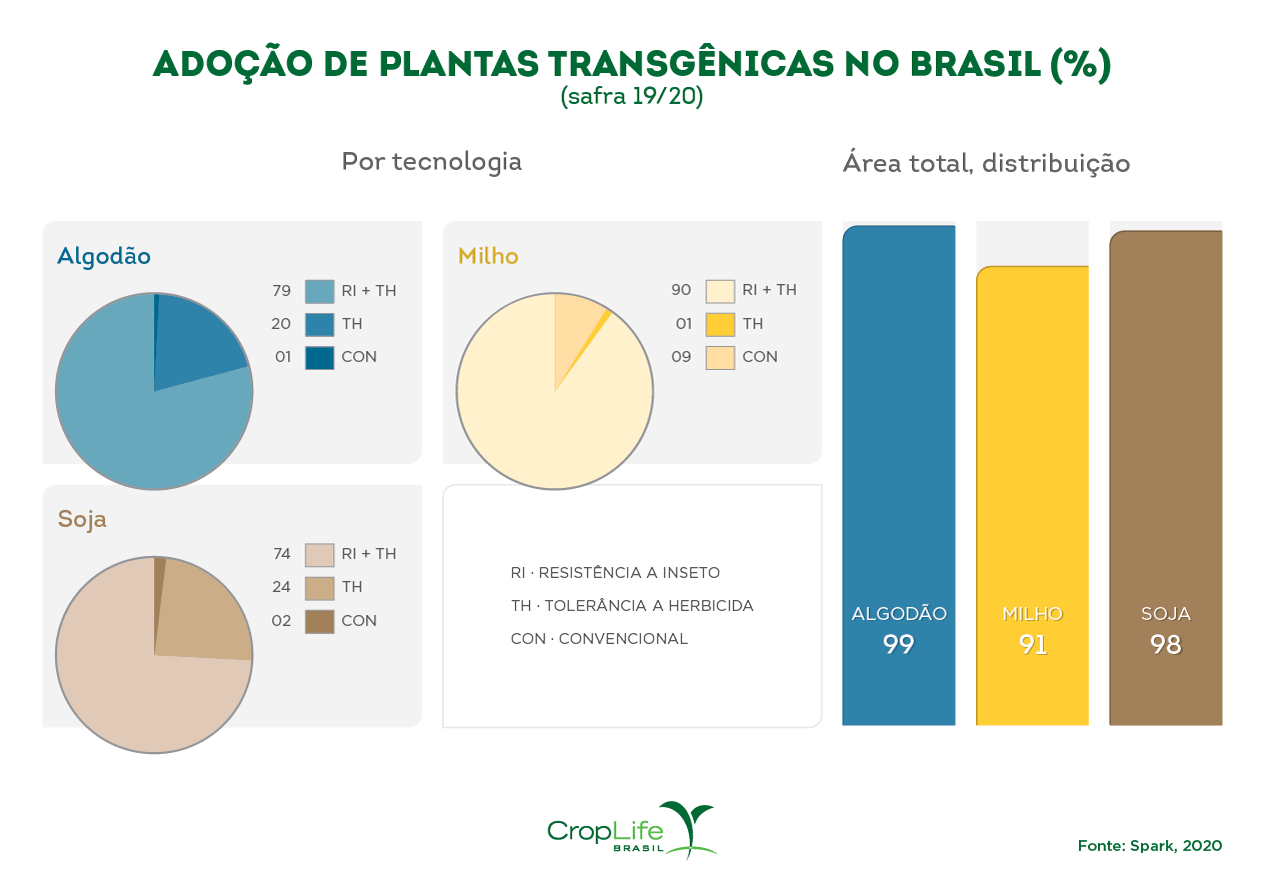 Plantas transgênicas no Brasil