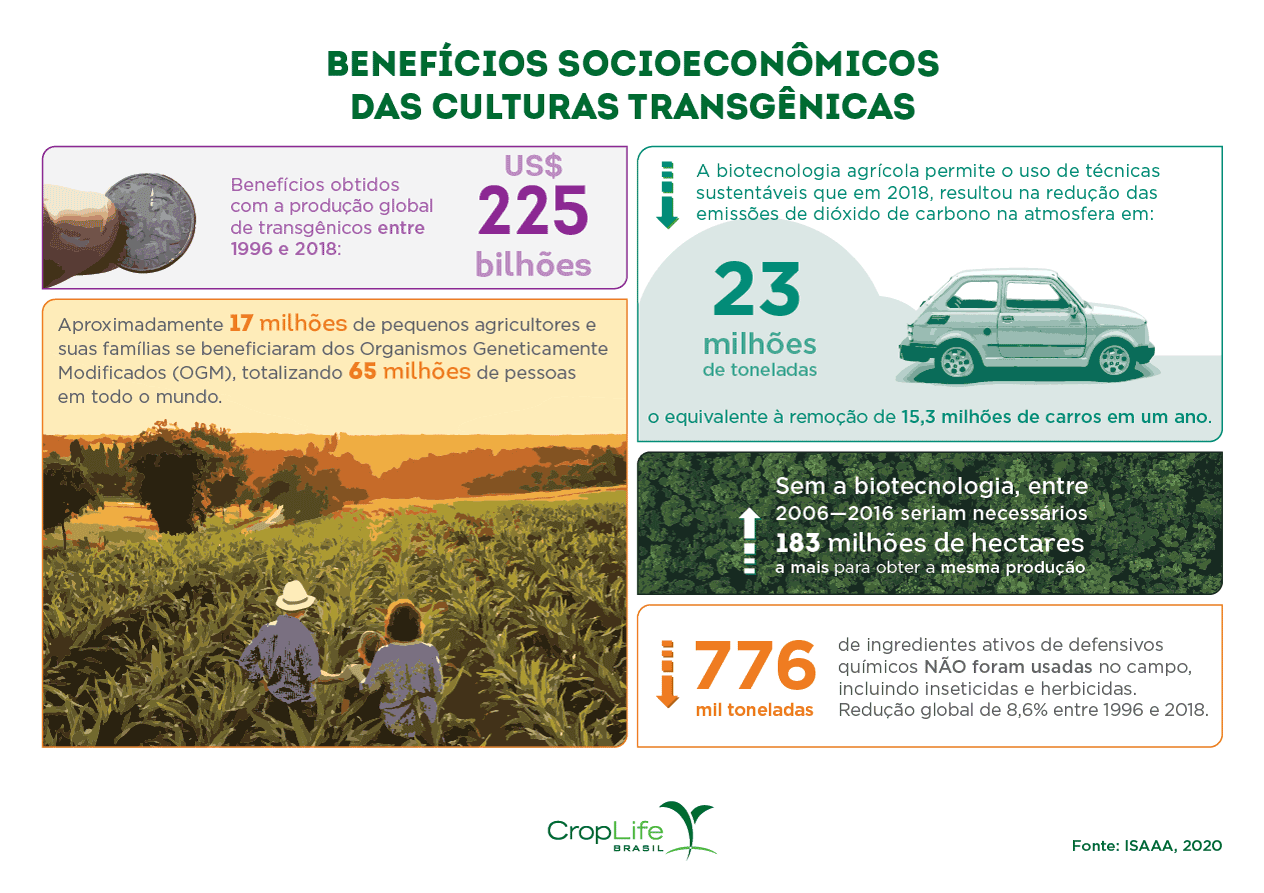 ISAAA: Infográfico mostrando os principais benefícios socioeconômicos das culturas transgênicas