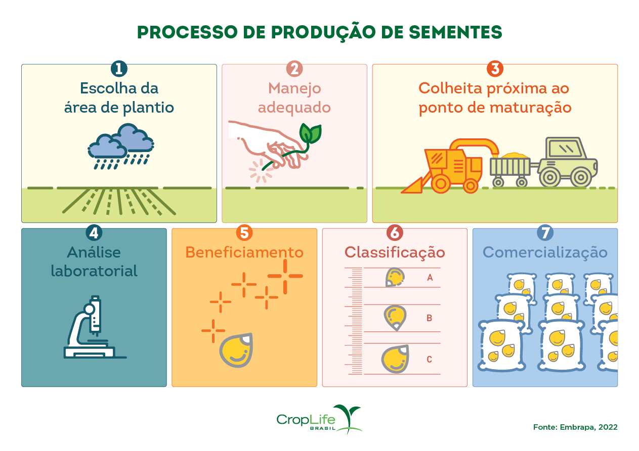 qualidade de sementes