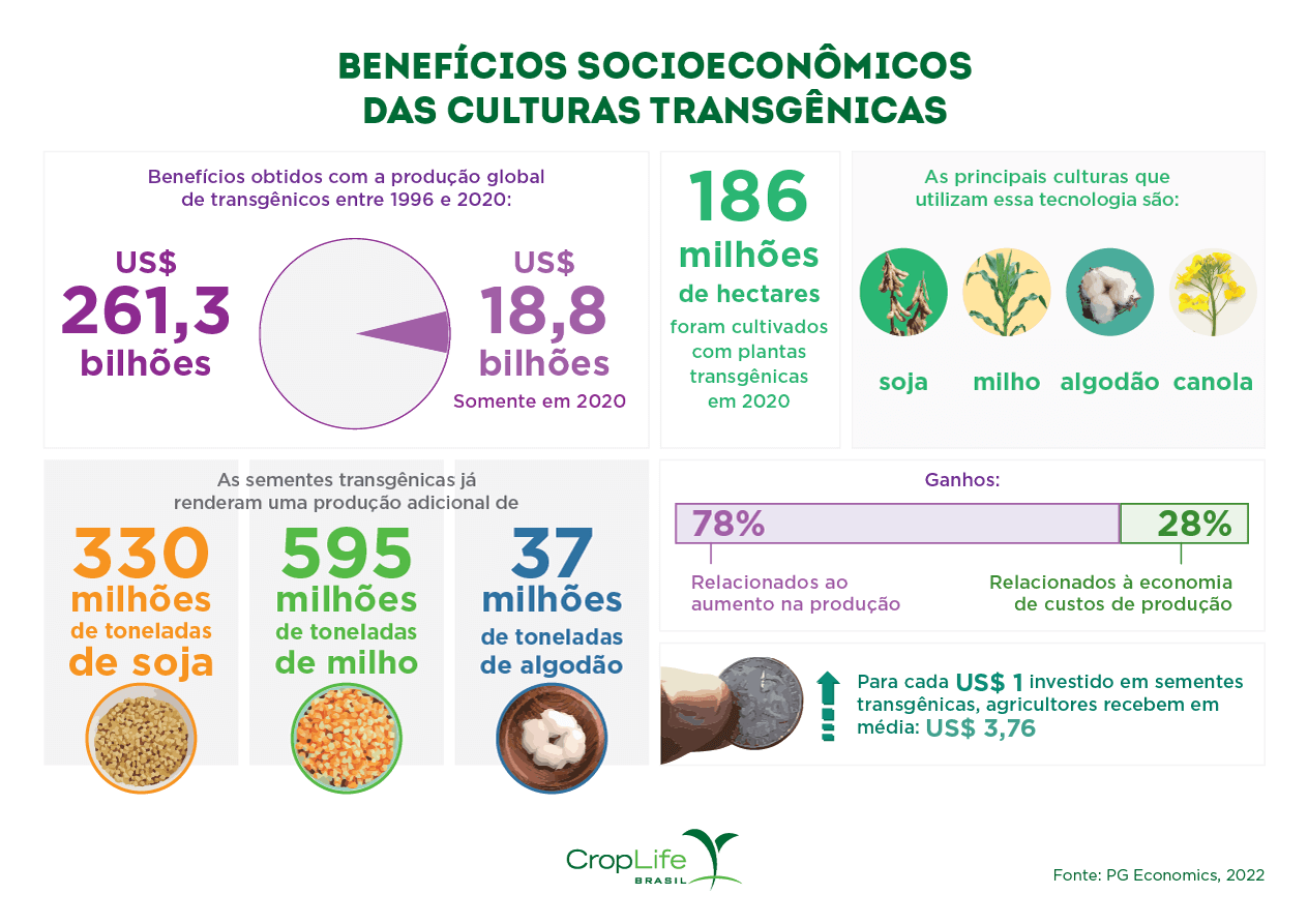 Culturas transgênicas