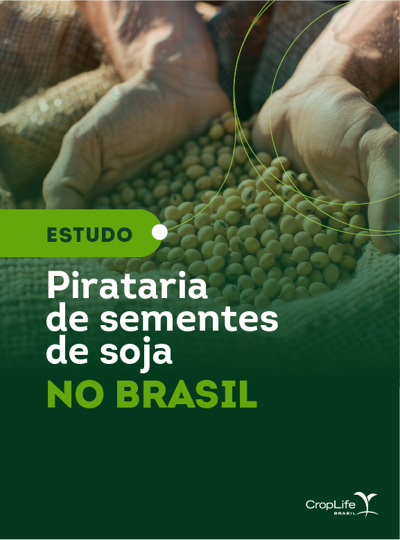 Pirataria de sementes de soja