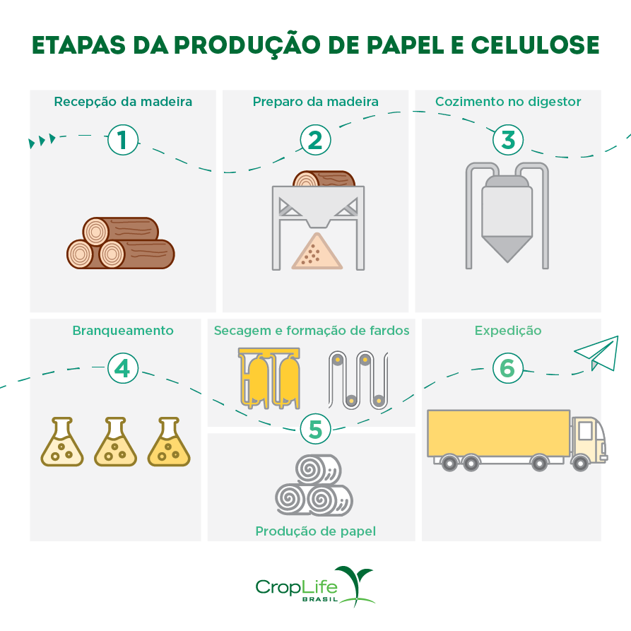 Infográfico mostrando as etapas da produção de papel e celulose