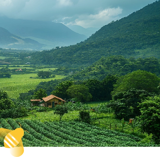 Boas Prticas Agrcolas - Coexistncia Polinizadores
