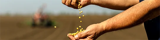 Boas Prticas Agrcolas - Combate ao uso de insumos ilegais