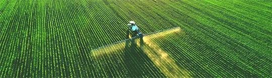 Boas Prticas Agrcolas - Impacto do uso de insumos ilegais