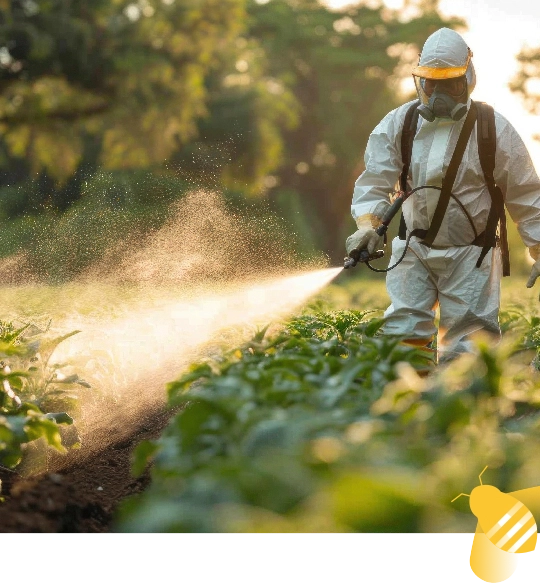 Boas Prticas Agrcolas - Coexistncia Polinizadores